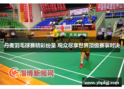 丹麦羽毛球赛精彩纷呈 观众尽享世界顶级赛事对决