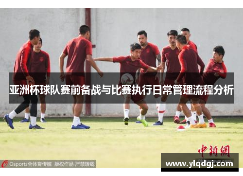亚洲杯球队赛前备战与比赛执行日常管理流程分析