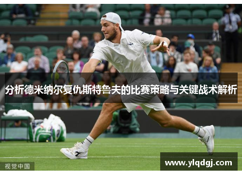 分析德米纳尔复仇斯特鲁夫的比赛策略与关键战术解析