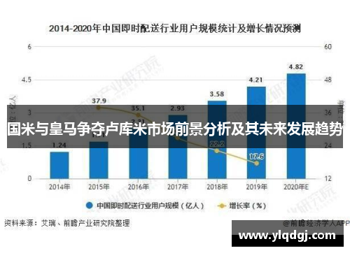 国米与皇马争夺卢库米市场前景分析及其未来发展趋势