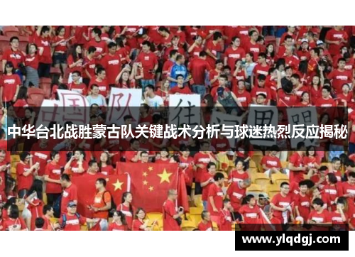 中华台北战胜蒙古队关键战术分析与球迷热烈反应揭秘