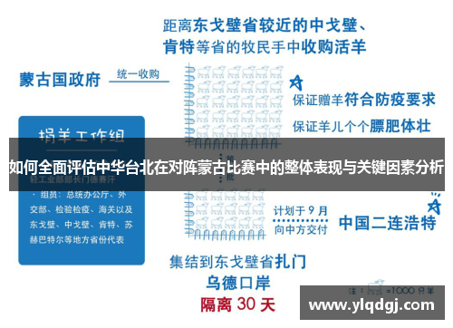 如何全面评估中华台北在对阵蒙古比赛中的整体表现与关键因素分析