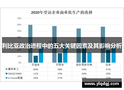 利比亚政治进程中的五大关键因素及其影响分析