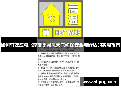 如何有效应对北京冬季强风天气确保安全与舒适的实用指南