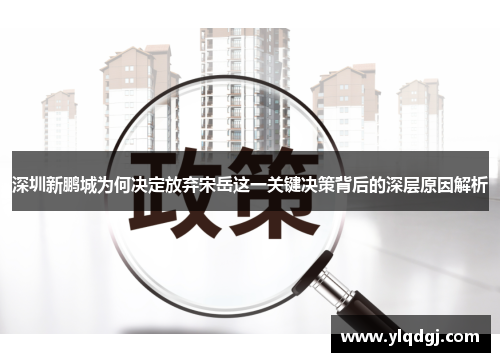 深圳新鹏城为何决定放弃宋岳这一关键决策背后的深层原因解析