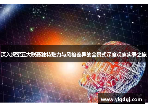 深入探索五大联赛独特魅力与风格差异的全景式深度观察实录之旅 深入探索五大联赛独特魅力与风格差异的全景式深度观察实录之旅